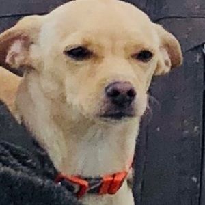 Meet your Posher, Ethan